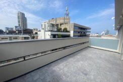 Brand new Mini PENTHOUSE in a newly restore building in the heart of the city!