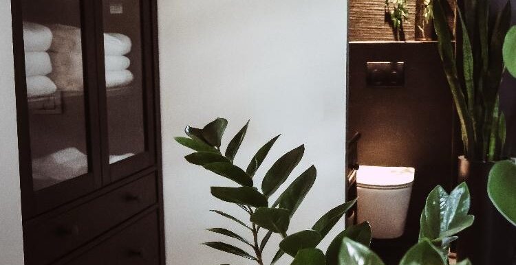 01e397be-ea41-4973-a03c-932b5bc4d524