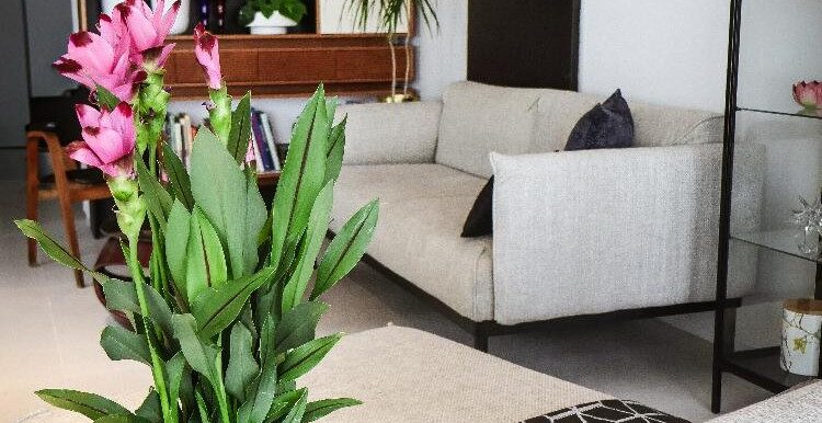 40c5547a-5f14-465c-adb5-0e4fb685a40e