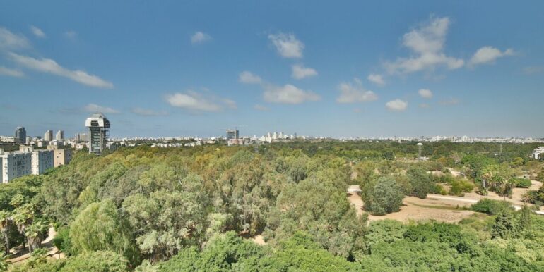 large-WhatsApp Image 2025-11-16 at 19.32.57 (1)